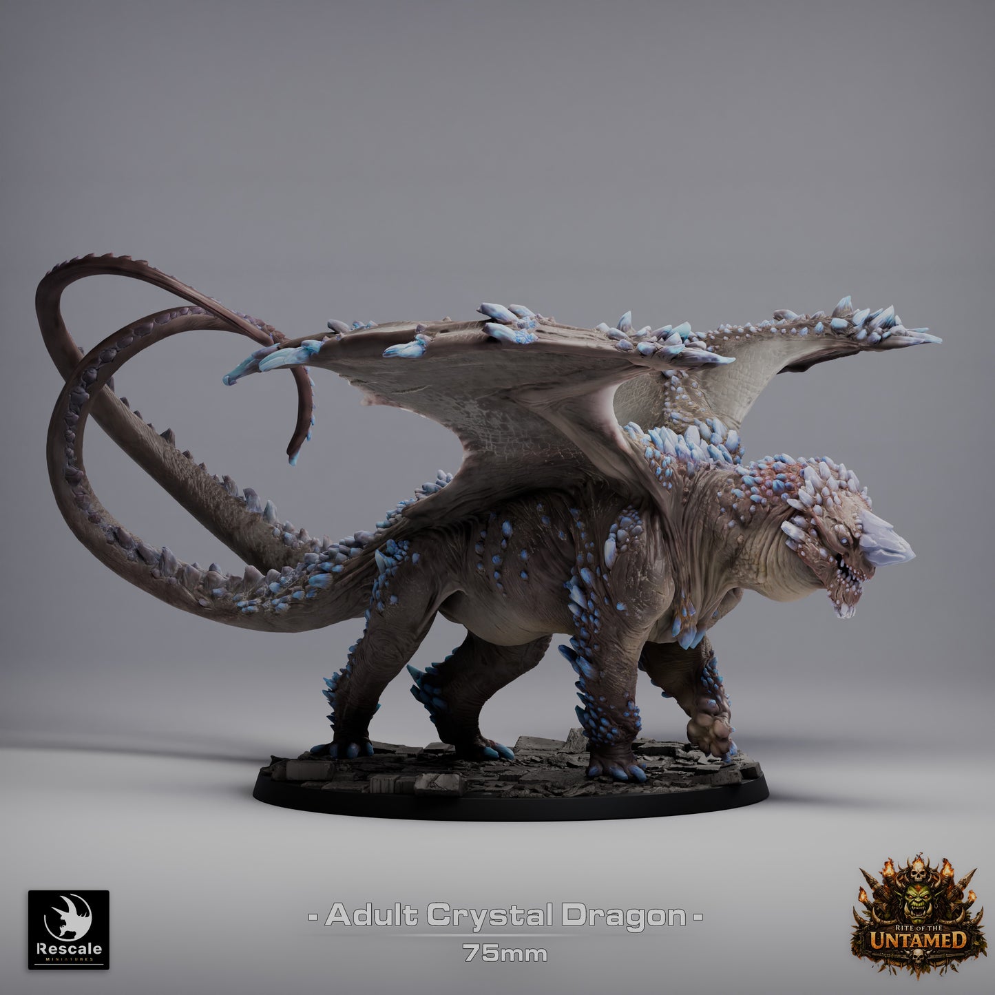 Crystal Dragon – Rite of the Untamed