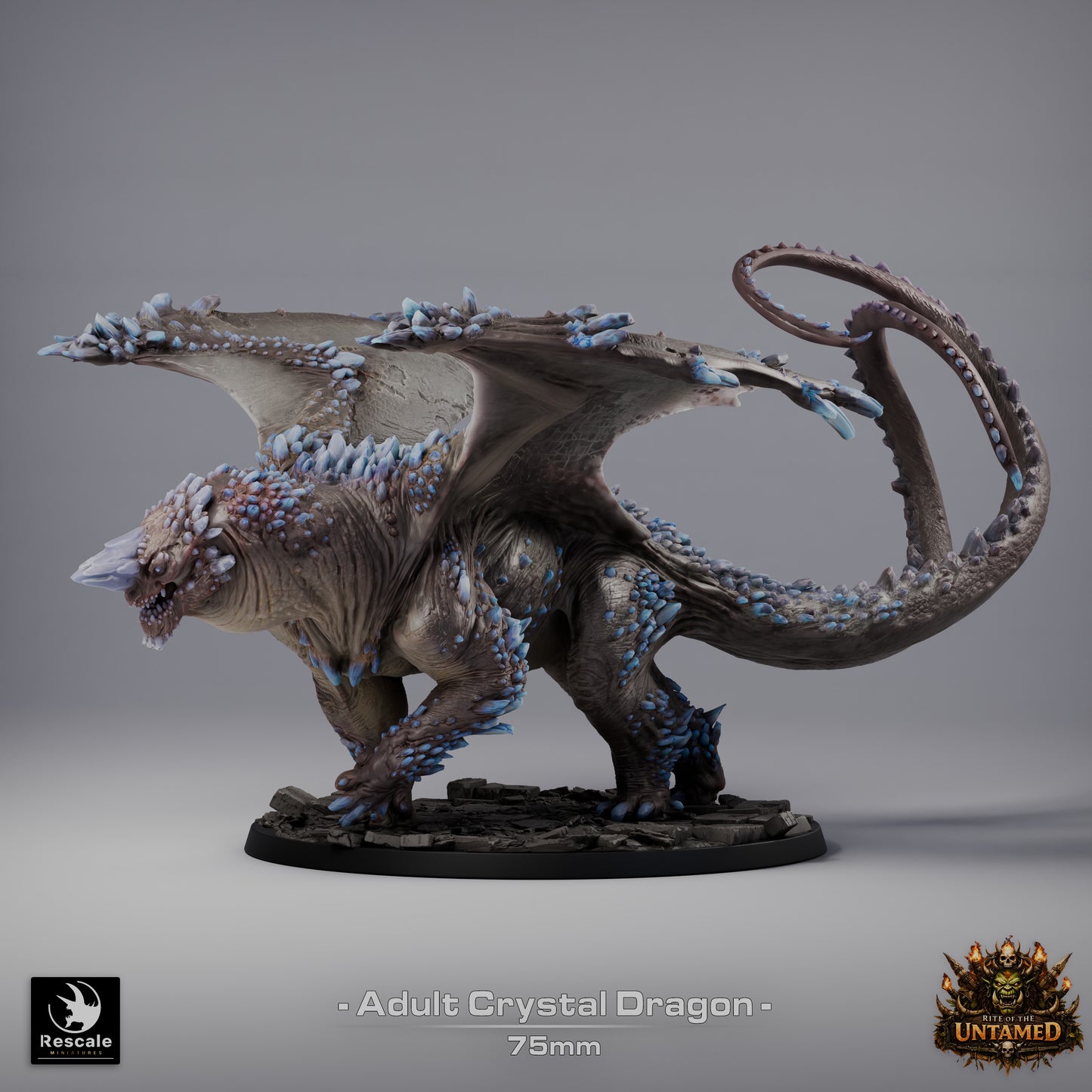 Crystal Dragon – Rite of the Untamed