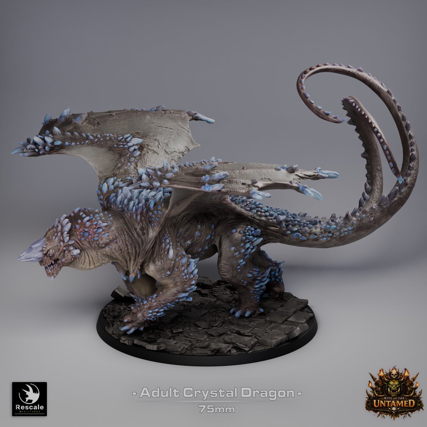 Crystal Dragon – Rite of the Untamed