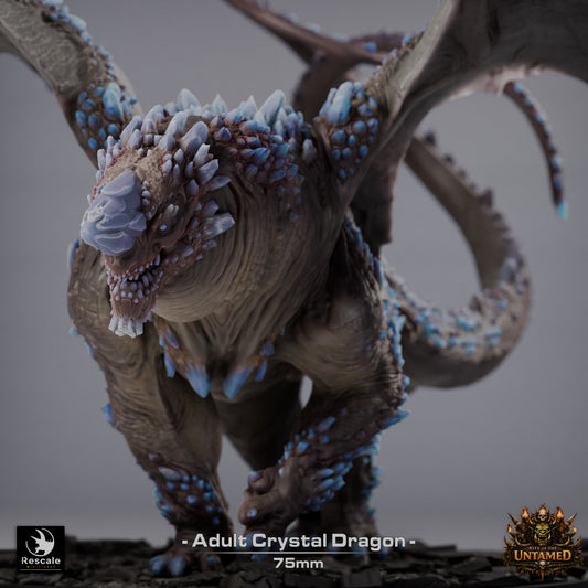 Crystal Dragon – Rite of the Untamed
