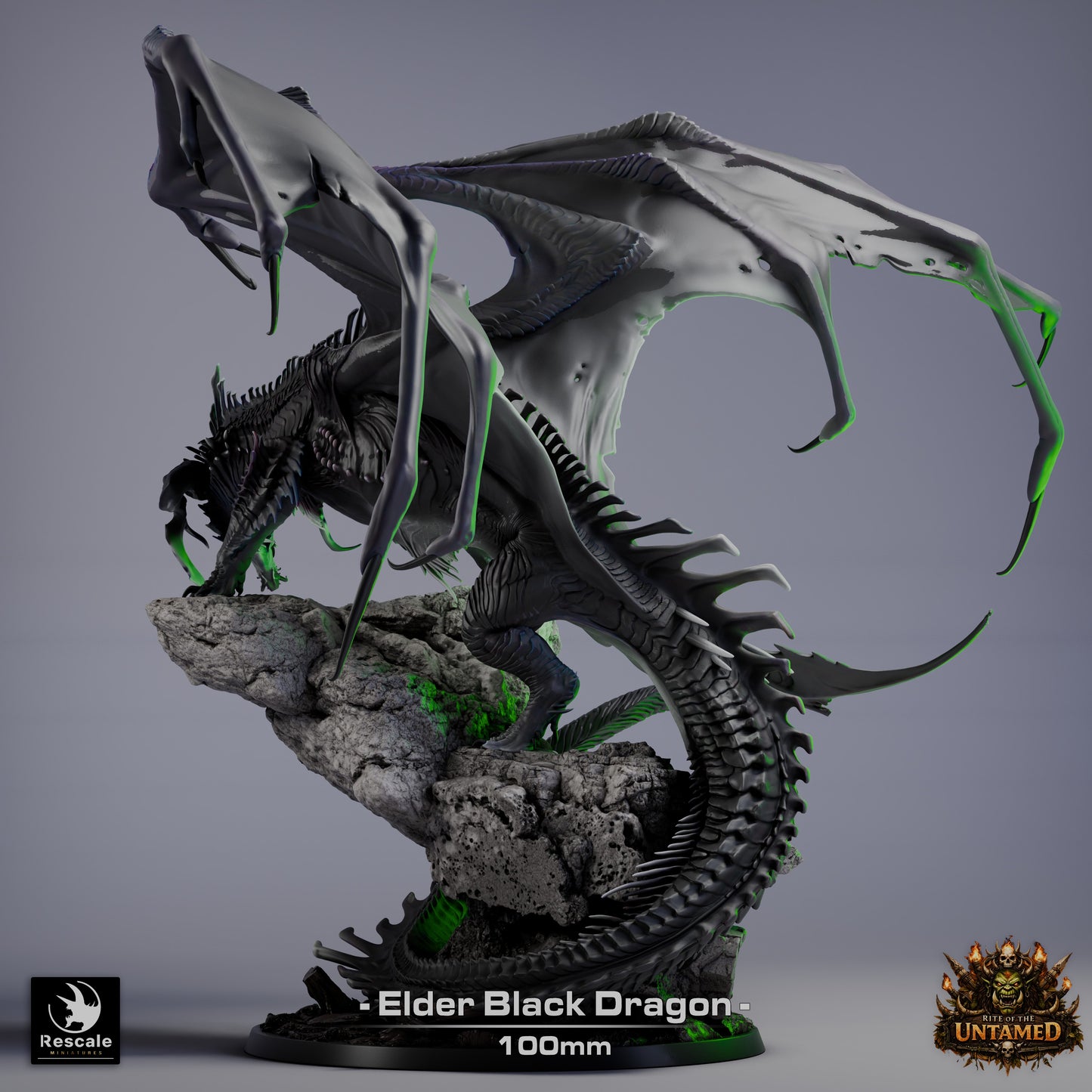 Eldar Black Dragon - Rite of the Untamed