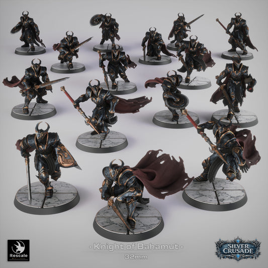 The Knights of Bahamut - The Silver Crusade
